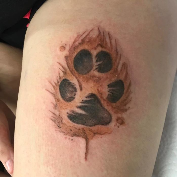 Dog paw print tattoo with vibrant colors and detailed design on skin.