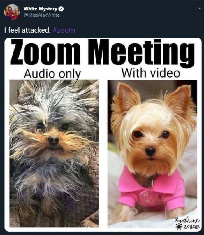 People Are Making Jokes About Zoom Meetings And Here’s 59 Of The Best ...