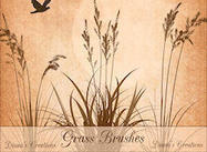 Grass Brushes