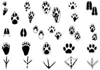 Animal Tracks Brush Pack Two 