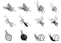 Hand Drawn Insect Brushes Pack