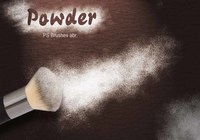 20 Powder PS Brushes.abr Vol.3