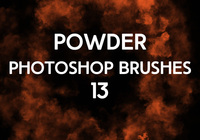 Powder Brushes 13