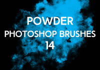 Powder Brushes 14