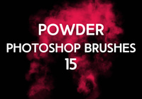 Powder Brushes 15