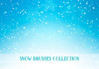 Snow Brushes Collection