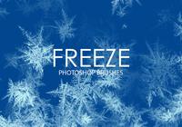 Free Freeze Photoshop Brushes