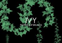 Ivy Photoshop Brushes