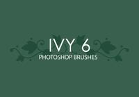 Ivy Photoshop Brushes 6