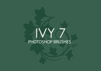 Ivy Photoshop Brushes 7