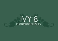 Ivy Photoshop Brushes 8