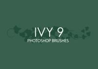 Ivy Photoshop Brushes 9