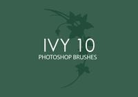 Ivy Photoshop Brushes 10