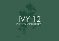 Ivy Photoshop Brushes 12