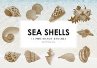 Sea Shells Photoshop Brushes