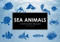 Sea Animals Photoshop Brushes