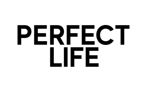  Perfect Life (Vida Perfecta) 