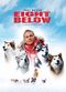 Film Eight Below