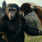 Kingdom of the Planet of the Apes/Planeta maimuțelor: Noul regat