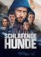 Film Schlafende Hunde