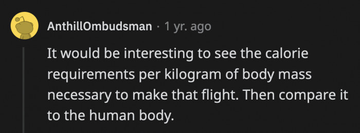 That would be an interesting comparison to read. Just how much energy do they spend during that thousand-mile flight?