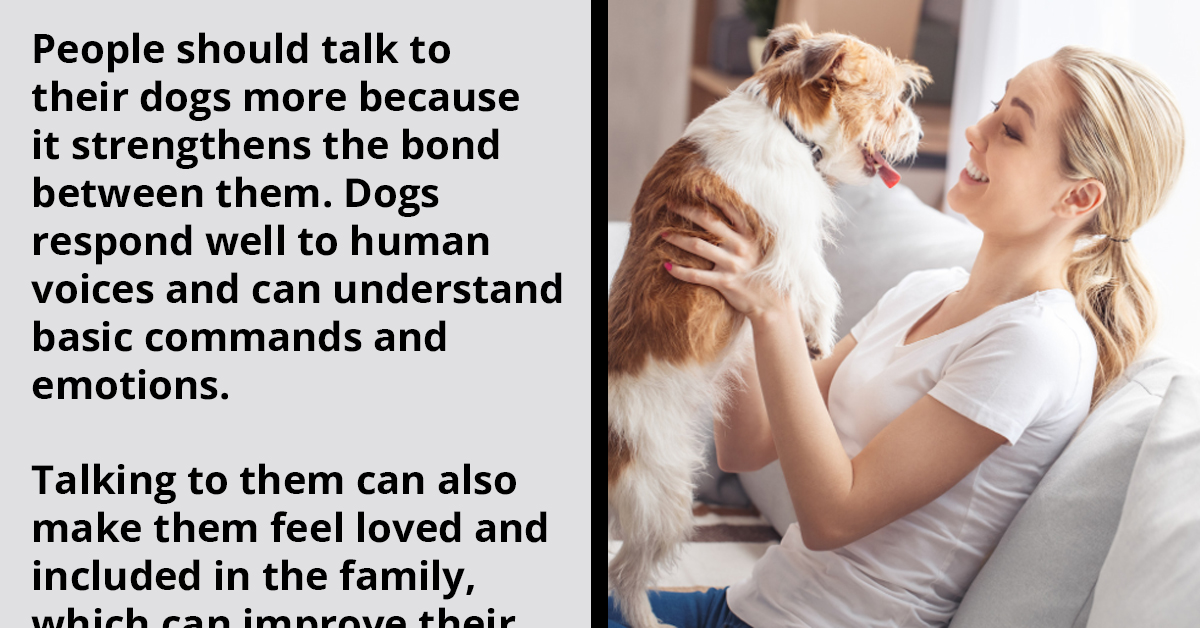 Humans Need To Talk To Dogs More, And 7 Pet Owners Reveal Compelling Reasons Why