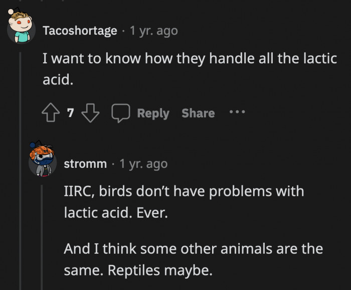 That much exertion takes its toll on the birds small frame does it not? Is there a risk of their muscles seizing up while flying?