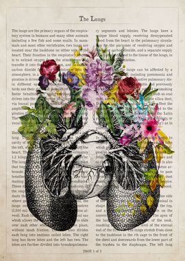 Lungs Flower Anatomy