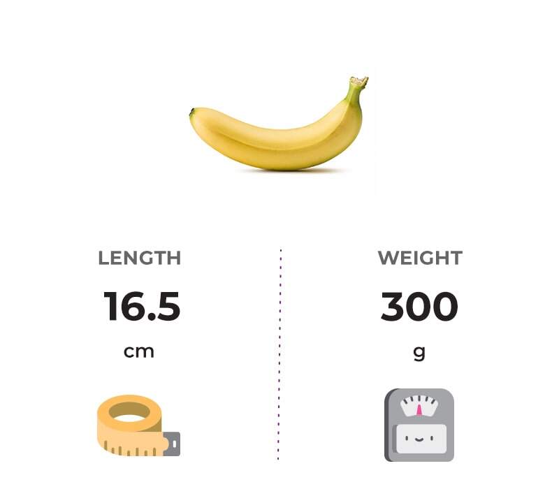 the size of your baby at 20 weeks pregnant