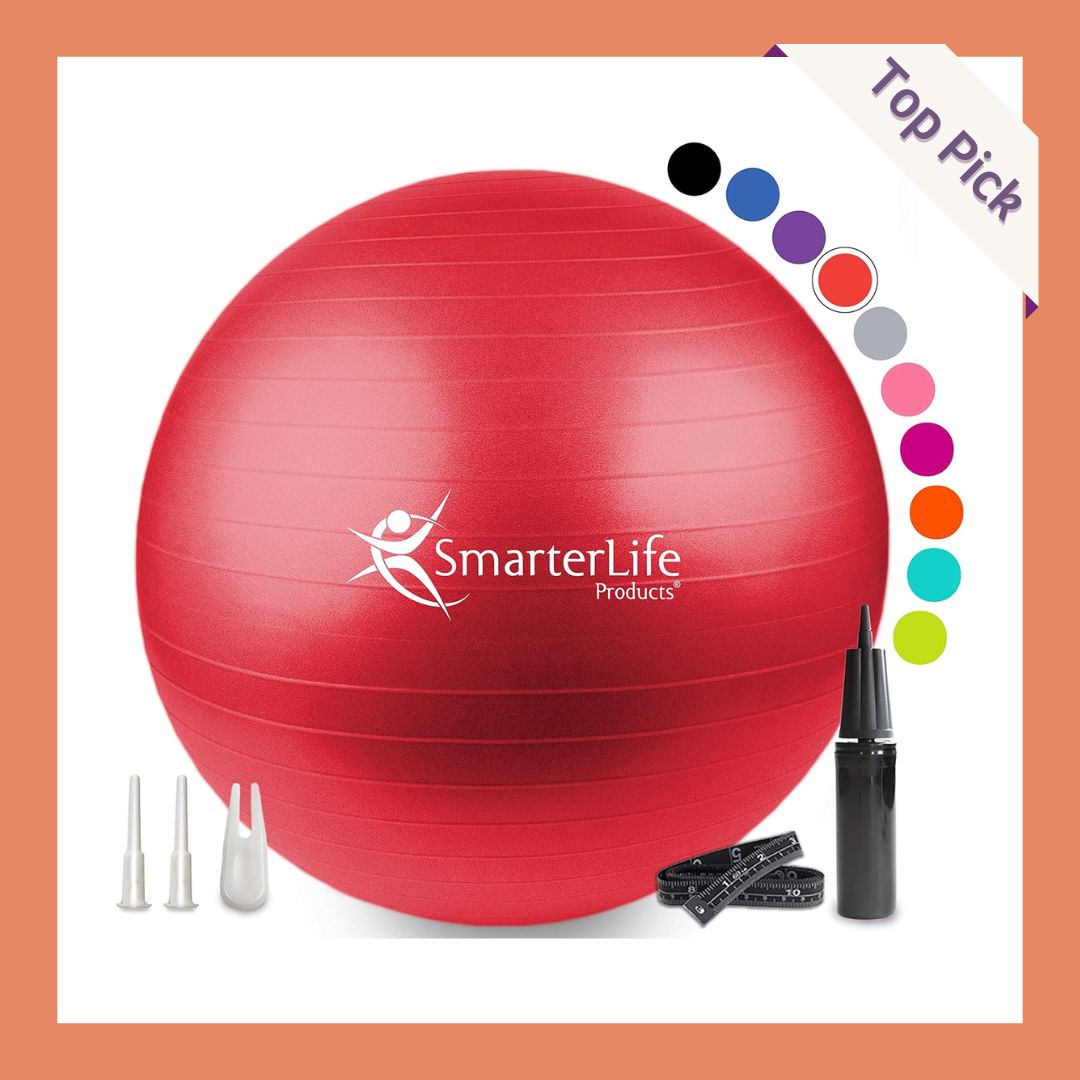 SmarterLife Exercise Ball