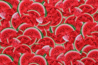 Timeless Treasures Packed Watermelon Slices Printed Cotton Craft Fabric in Multi 