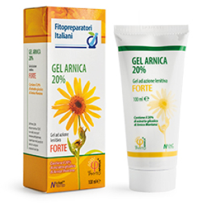 selerbe arnica gel 100ml bugiardino cod: 900027451 