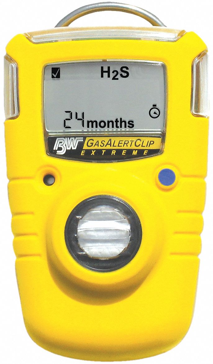 Single Gas Detector, 0 to 100 ppm Sensor Range, Audible, Visual and ...