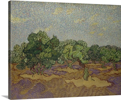 Olive Trees, 1889