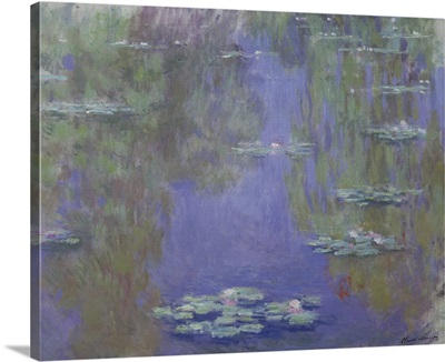 Waterlilies, 1903