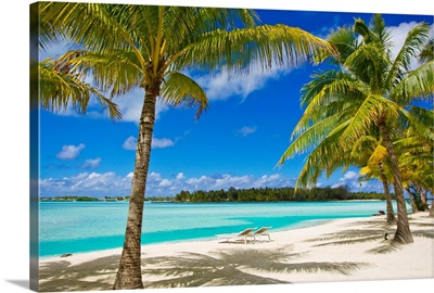 Palm trees, lounge chairs, and white sand on a tropical beach