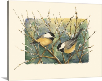 Chickadees and Pussy Willow