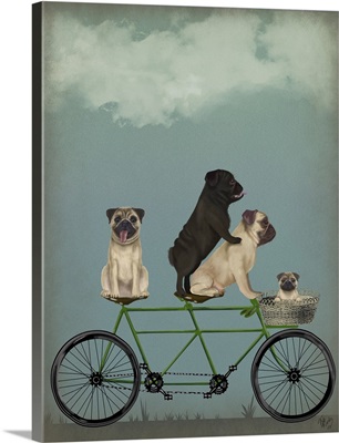 Pug Tandem