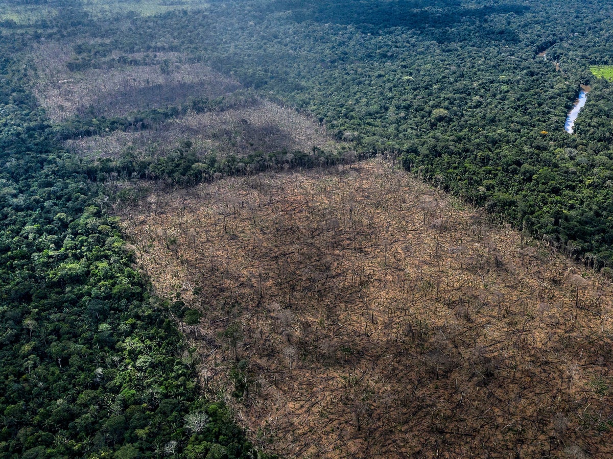 Tesco Sainsbury S And M S Among Uk Supermarkets Threatening Brazil Boycott Over Amazon Deforestation The Independent