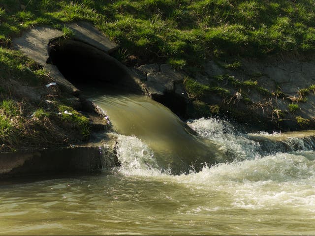 <p>Anyone fancy a swim? The problems with Britain’s H2O are endemic, and present more than just one ‘big job’  </p>