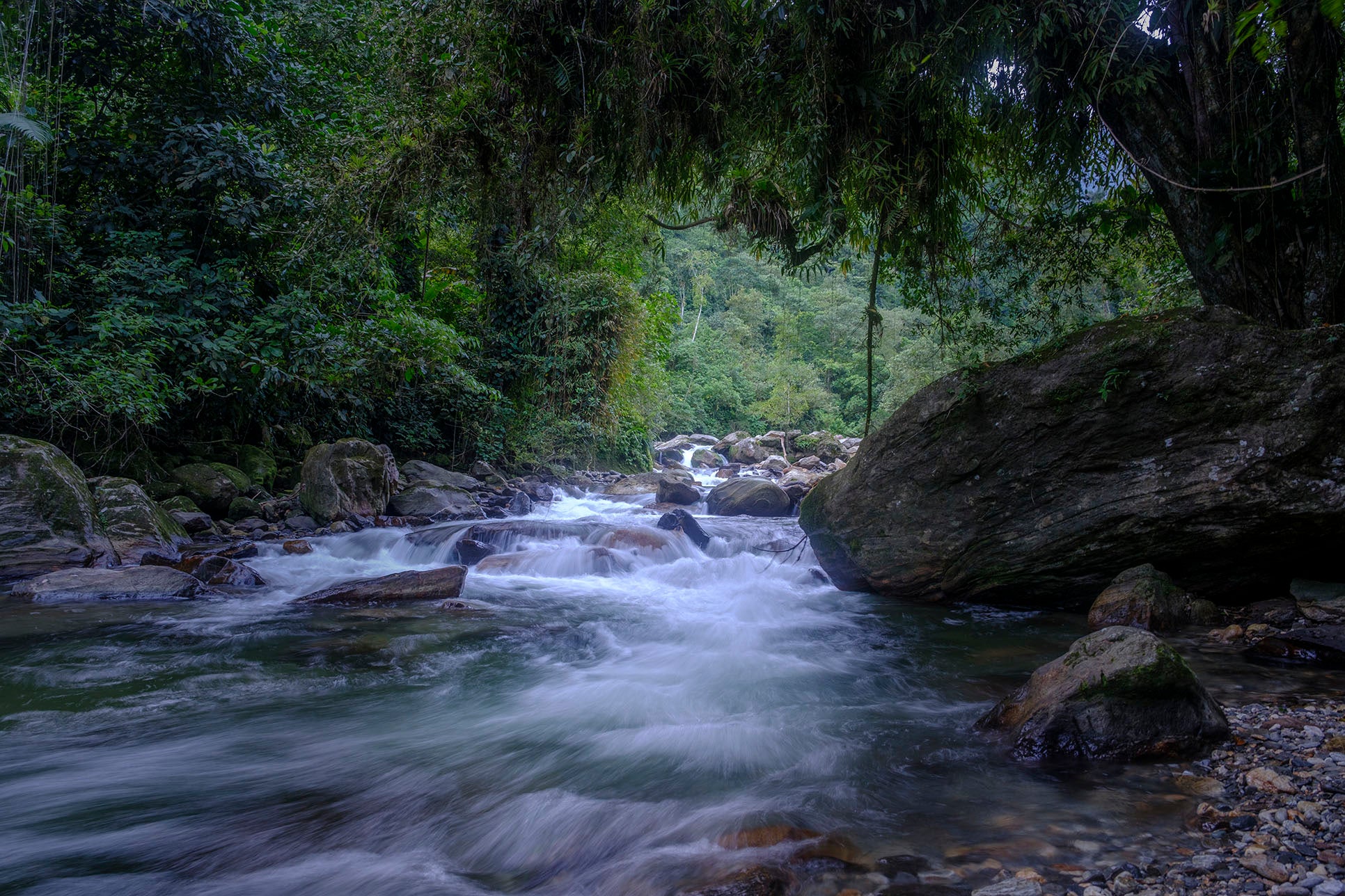 ‘I was surprised how good I felt. Maybe it was the clean air – heavy with the aroma of forest and river, oxygen-rich’