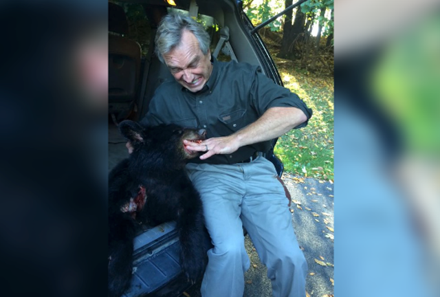 <p>RFK is seen next to a dead bear cub after he revealed he left the corpse in Central Park in 2014</p>