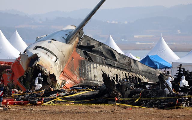 <p>The Jeju Air flight crashed landed and burst into flames at a South Korean airport, killing 179 people</p>