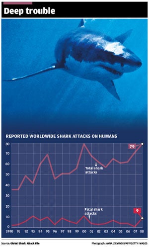 The Big Question: Are shark attacks on the rise, and can anything be ...