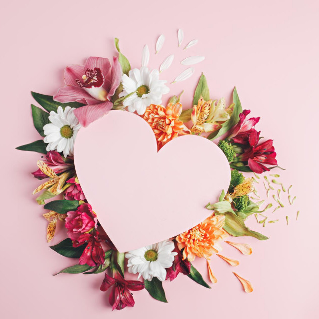 Heart surrounded with fresh colorful flowers on pastel pink background. Creative love layout with copy space. Valentines day, wedding or romantic visual trend. Spring bloom. Flat lay.