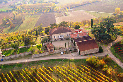 Vignes Languedoc 