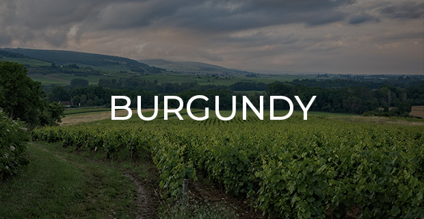 burgundy wines 