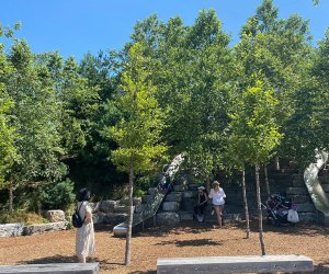 Cruise down the slides at Governors Island's Slide Hill