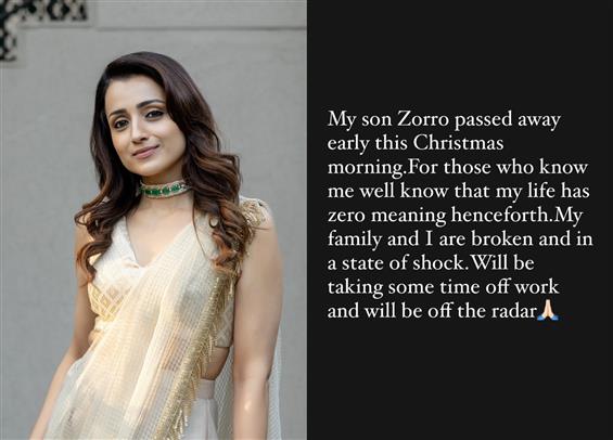 Trisha announces time off work in lieu of her pet'...