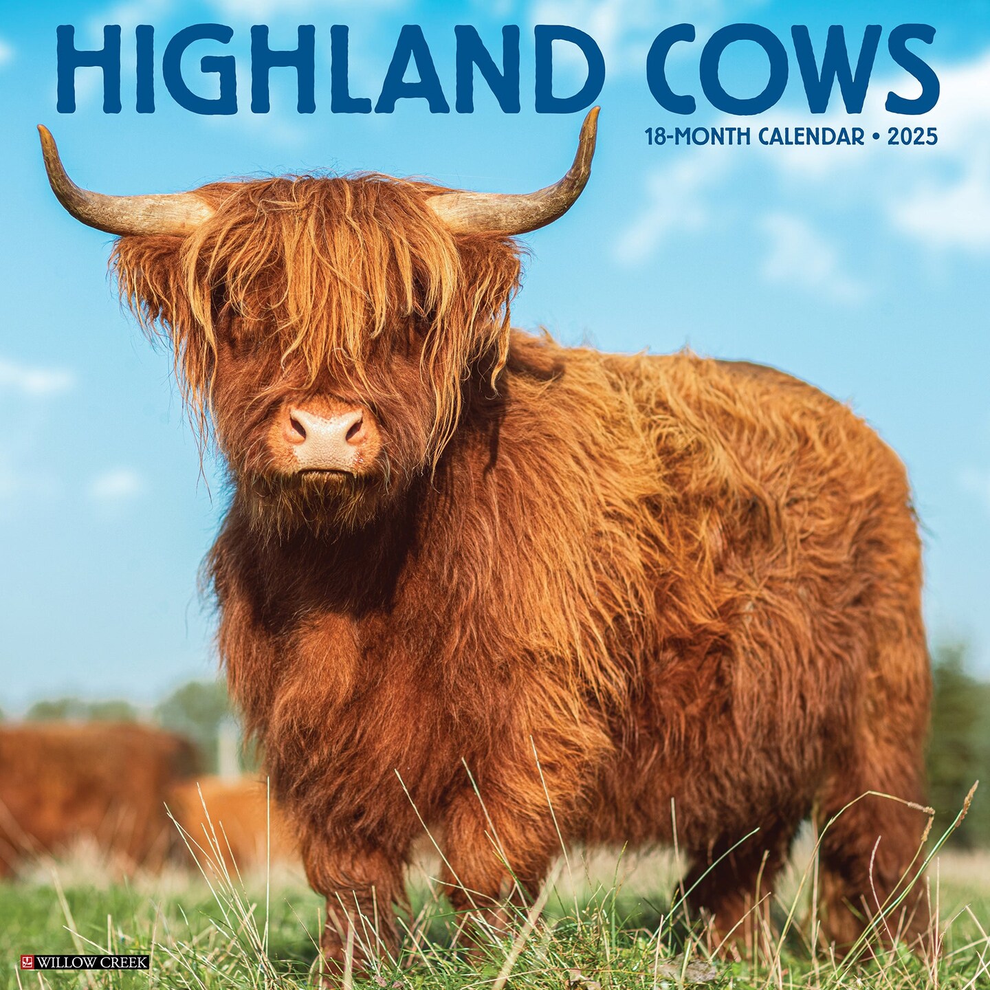 Highland Cows 2025 Wall Calendar